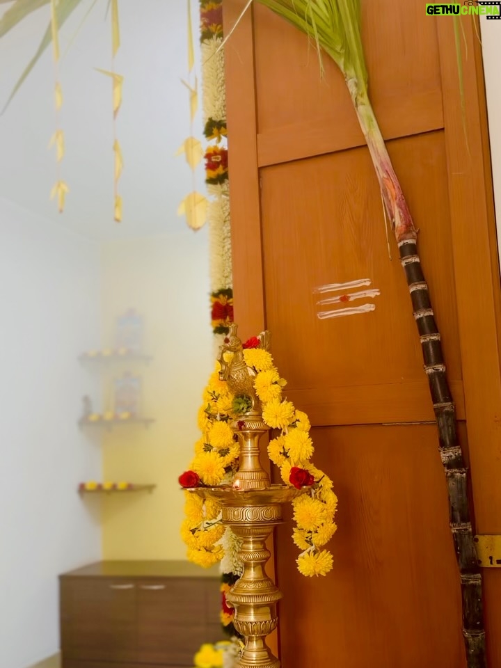 Vijayalakshmi - 182.6K Likes - Celebrating life 🤍

#happy #pongal #thaithirunaal