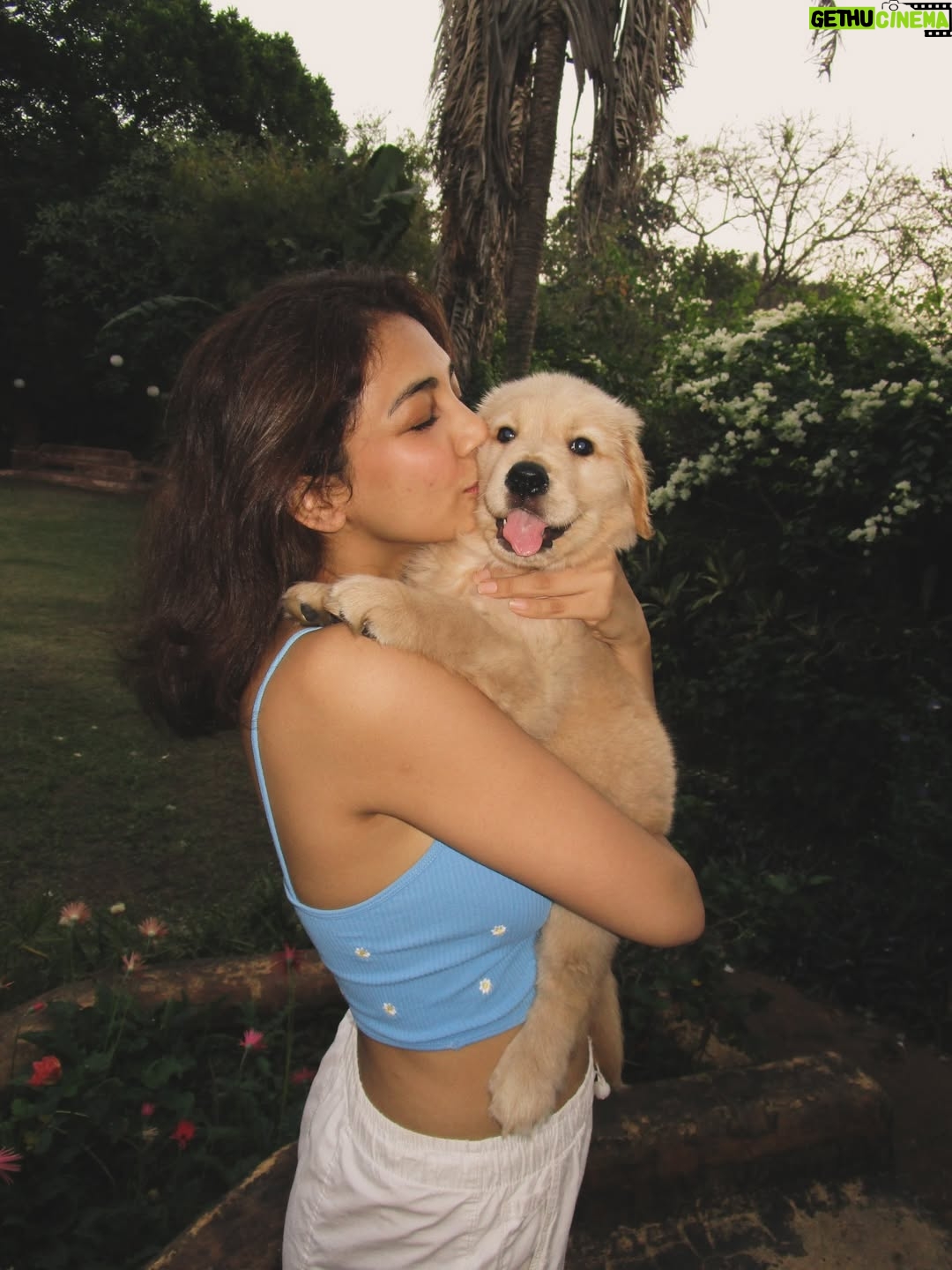 Yogita Bihani - 35.9K Likes - welcome home my little ‘Pici’. 🐾❣️🐶
(Pici like the pasta!!) 🍝
