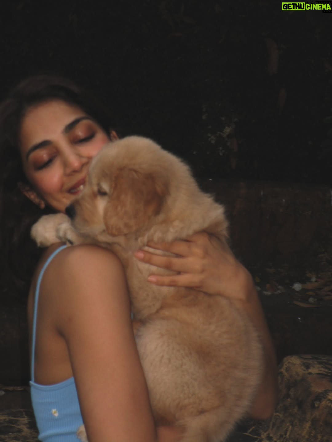 Yogita Bihani - 35.9K Likes - welcome home my little ‘Pici’. 🐾❣️🐶
(Pici like the pasta!!) 🍝