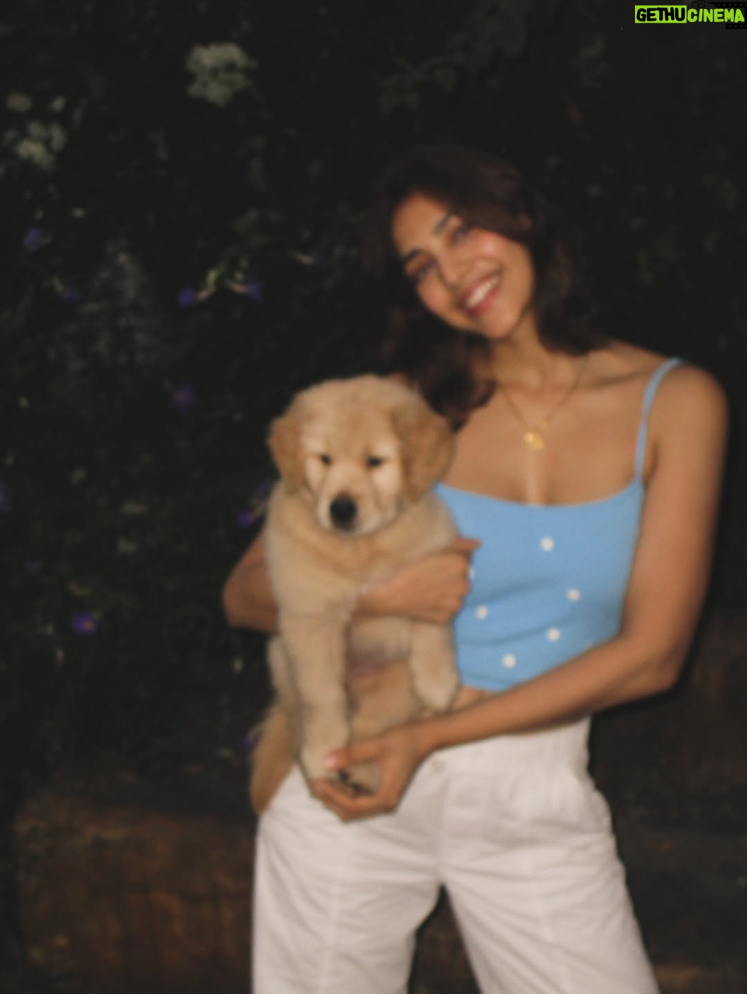 Yogita Bihani - 35.9K Likes - welcome home my little ‘Pici’. 🐾❣️🐶
(Pici like the pasta!!) 🍝