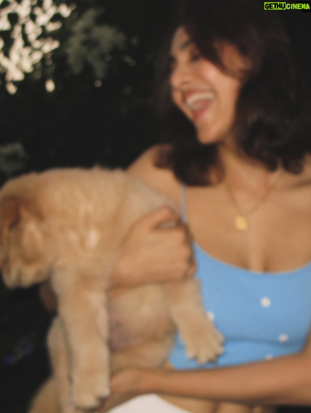Yogita Bihani - 35.9K Likes - welcome home my little ‘Pici’. 🐾❣️🐶
(Pici like the pasta!!) 🍝