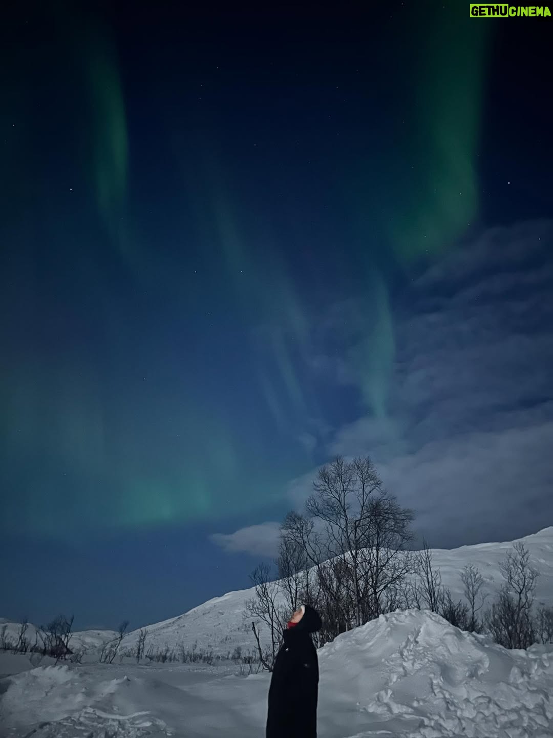 Ahn Eun-jin - 423.9K Likes - Northern Lights 🌌✨