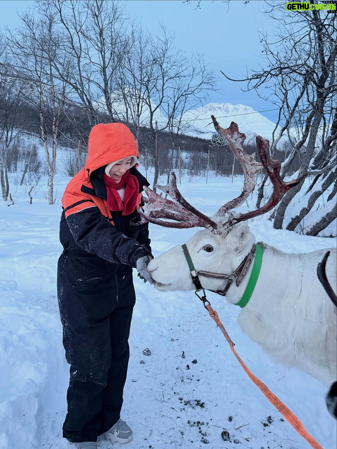 Ahn Eun-jin - 423.9K Likes - Northern Lights 🌌✨