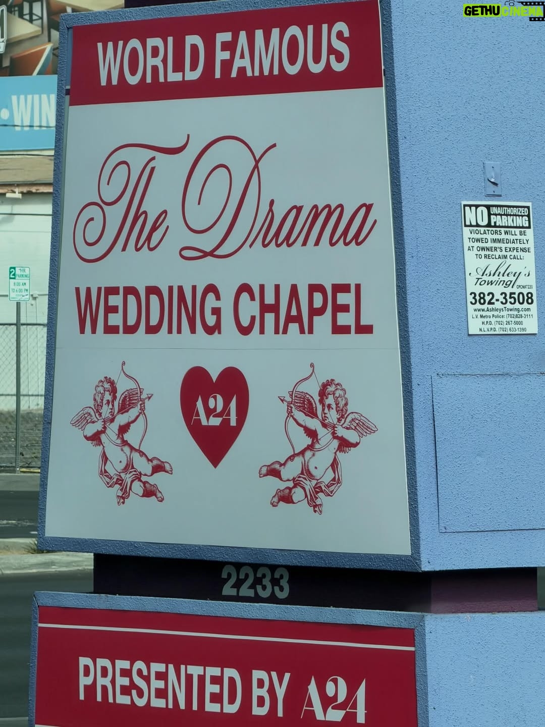 Alana Haim - 37.5K Likes - your new favorite wedding dj
