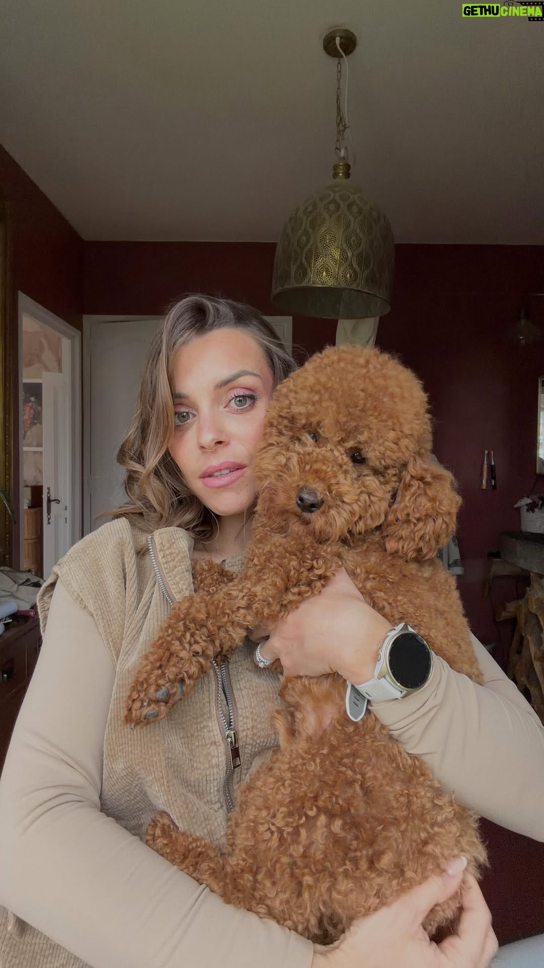 Alexia Mori - 52.4K Likes - C’est pas trop ça ?? 😂
