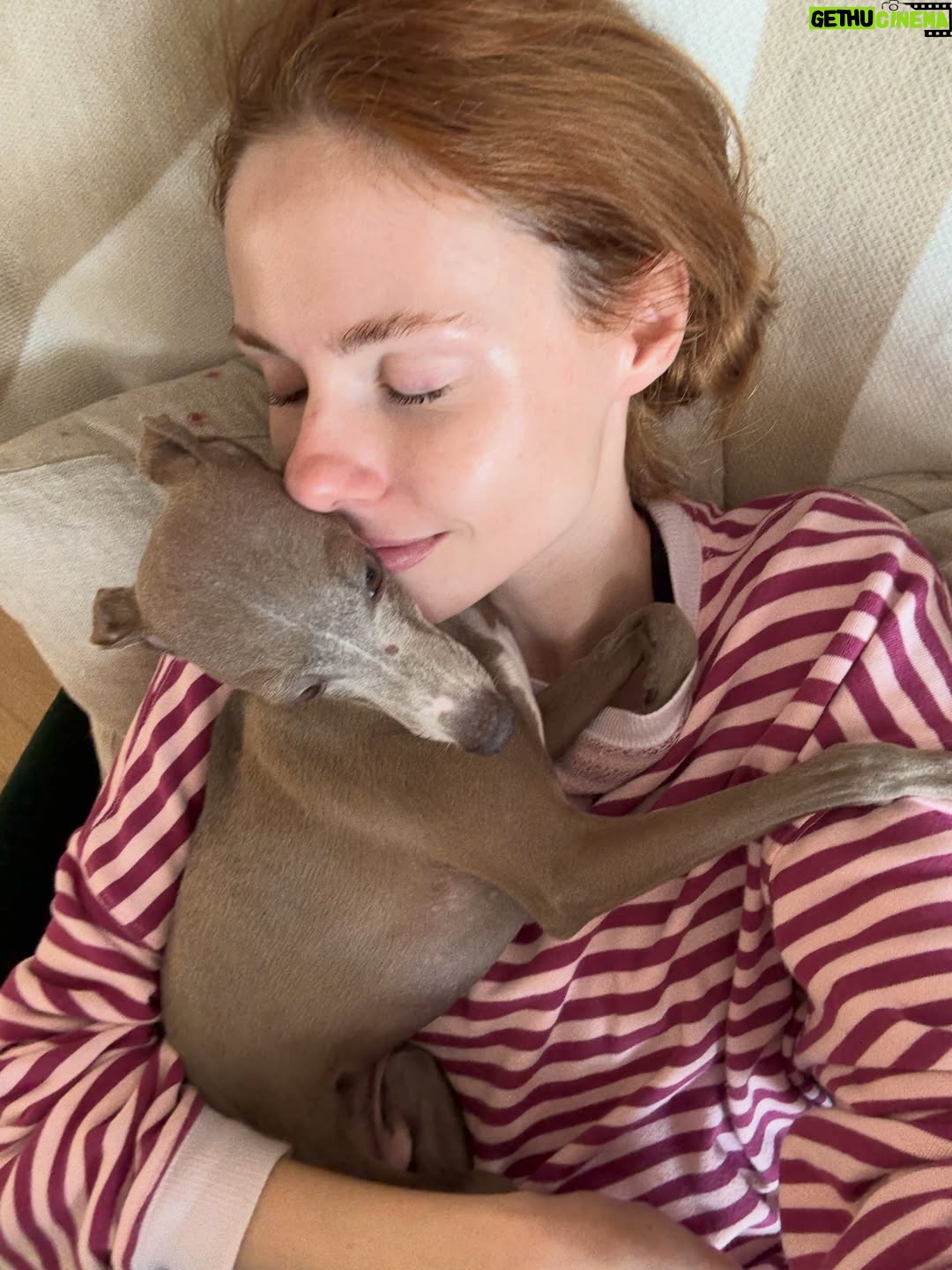 Alyssa Campanella - 476 Likes - An unfiltered recap of January 💕

#january #monthlyrecap #januaryrecap #hongkonglife #unfilteredmoments