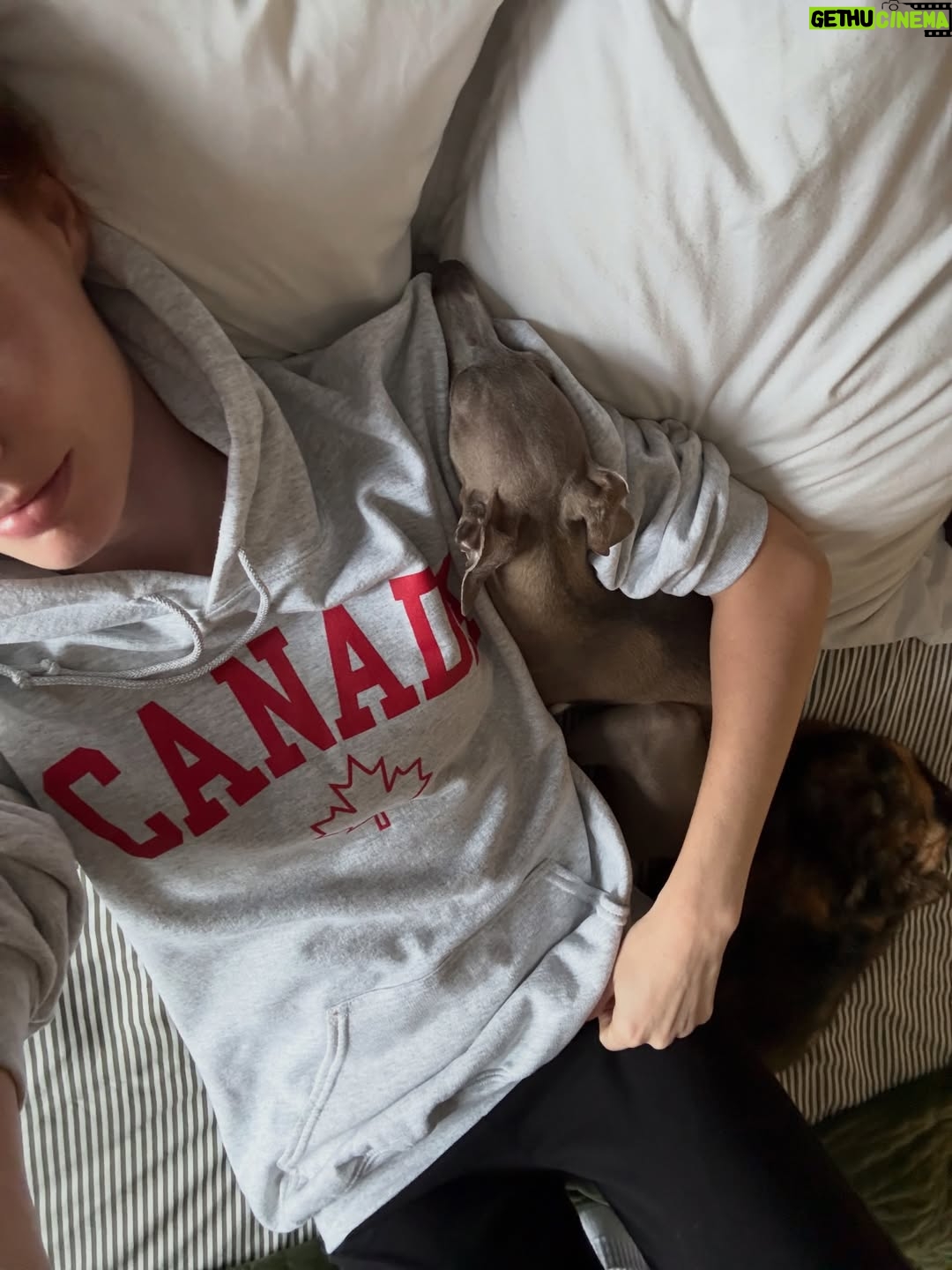 Alyssa Campanella - 476 Likes - An unfiltered recap of January 💕

#january #monthlyrecap #januaryrecap #hongkonglife #unfilteredmoments