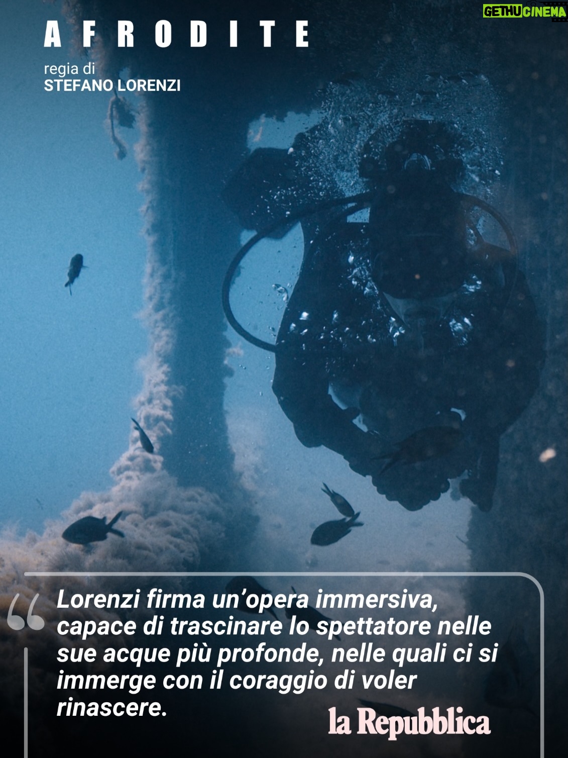 Ambra Angiolini - 1.3K Likes - “Afrodite” di @_stefano_lorenzi conquista l’attenzione della critica.

Alcune tra le più importanti testate giornalistiche ne hanno riconosciuto la forza visiva, emotiva e narrativa, confermando l’opera prima di @_stefano_lorenzi come uno dei film più intensi e sorprendenti dell’anno.

Interpretato da @ambraofficial , @giuliettilini e @super.gae , “Afrodite” è oggi in corsa nella shortlist dei @premidavid per le categorie Miglior Compositore e Miglior Acconciatura.

Un viaggio potente, che continua a lasciare il segno.

#pathosdistribution #movies #afrodite #cinema