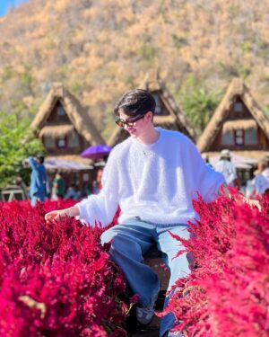 An Ji Instagram - •colorful flowers•~🦋🤍🌷✨🌈