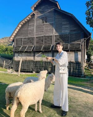 An Ji Instagram - Hi 2025 •~🤍🐏