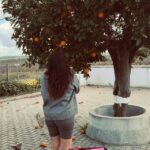 Ana Guiomar