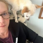 Angela Kinsey