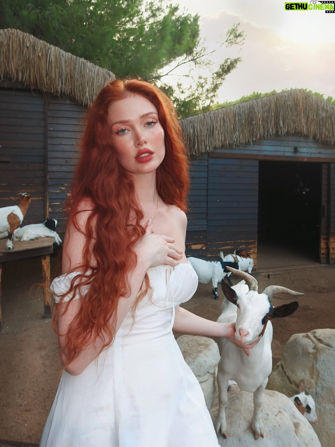 Angelina Michelle - 32.3K Likes - 𝓒𝘪𝘯𝘦𝘮𝘢 𝘷𝘦𝘳𝘪𝘵𝘦́,
𝘣𝘶𝘵 𝘦𝘷𝘦𝘳𝘺𝘰𝘯𝘦’𝘴 𝘤𝘩𝘦𝘸𝘪𝘯𝘨 𝘨𝘳𝘢𝘴𝘴. ☁️🥀🐓