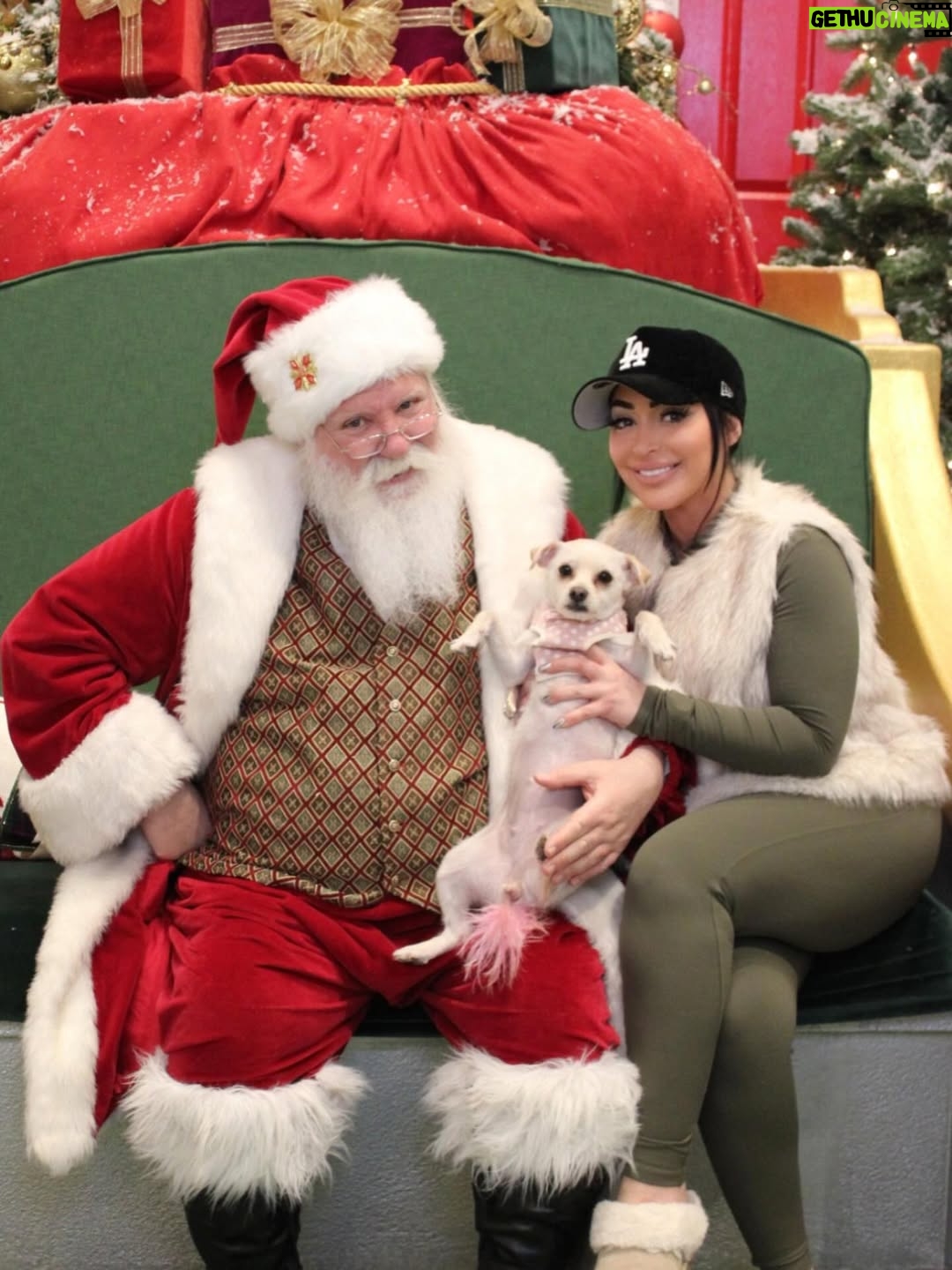 Angelina Pivarnick - 24.1K Likes - Was able to bring Vivian to meet Santa for the first time  after her haircut. She loved posing with him 🎅😍🙏❤️ next year I will bring the other two babies. Happy Holidays everyone. Love you all 🫶🏼 #santa #christmas #dogsofinstagram #mybaby