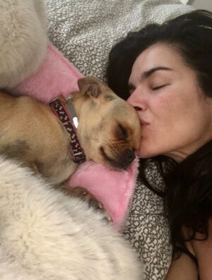 Angie Harmon Instagram - Our precious Daisy crossed the rainbow bridge & we are heartbroken… but we know Ollie was there to greet her. 

The littlest feet make the biggest footprints on our hearts. 

🌈🕊️🐶🐾