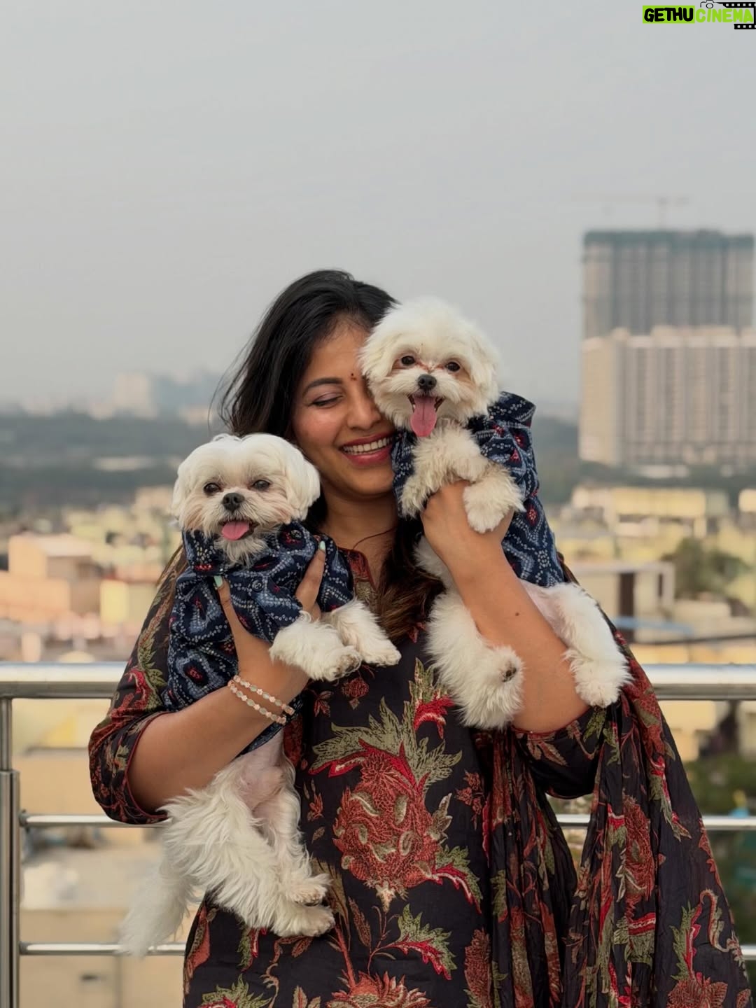 Anjali - 230.9K Likes - Wishing everyone a very Happy Sankranthi and Pongal ✨

#polodiaries #nicodiaries #happy #vibes #love