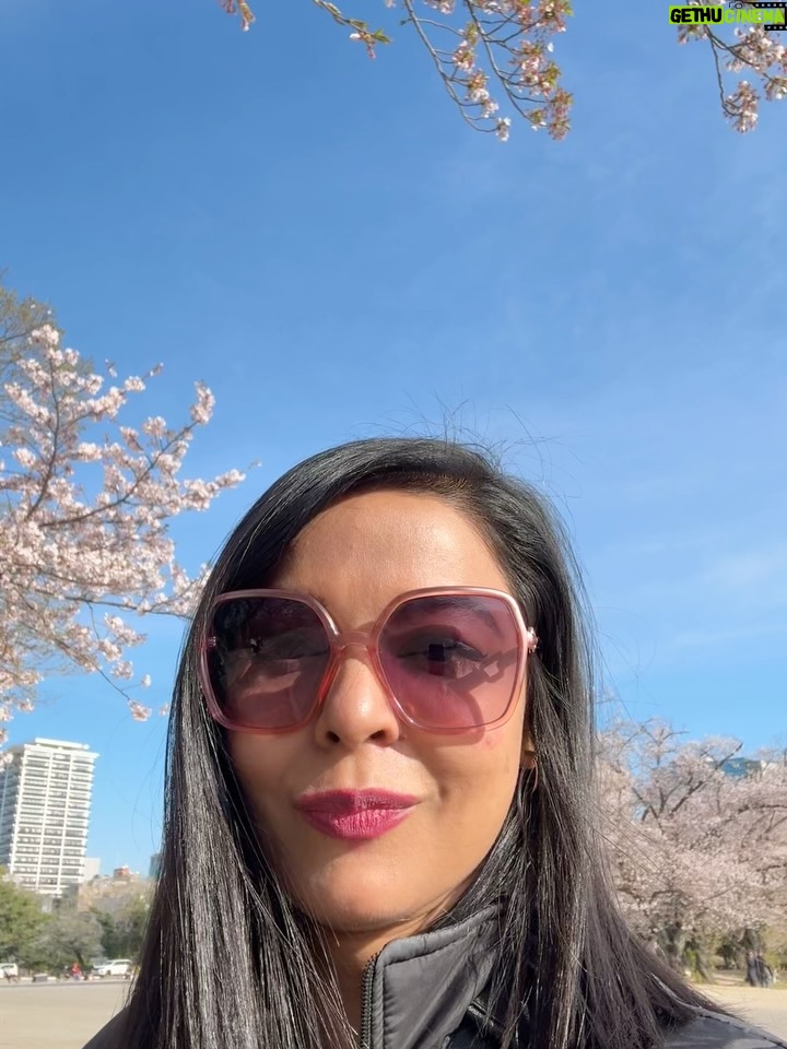 Ankita Shrivastav - 14.6K Likes - ‘I love going back. I think, in a way, going back is the subway to love. Easy, noisy, and very close❤️’

~Roger Mitchel