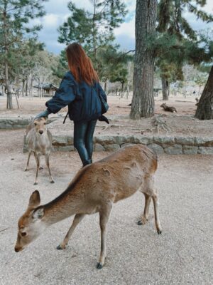 Annalisa Scarrone Instagram - Esibizionisti in Giappone - Parte 2 (animaletti) 😍