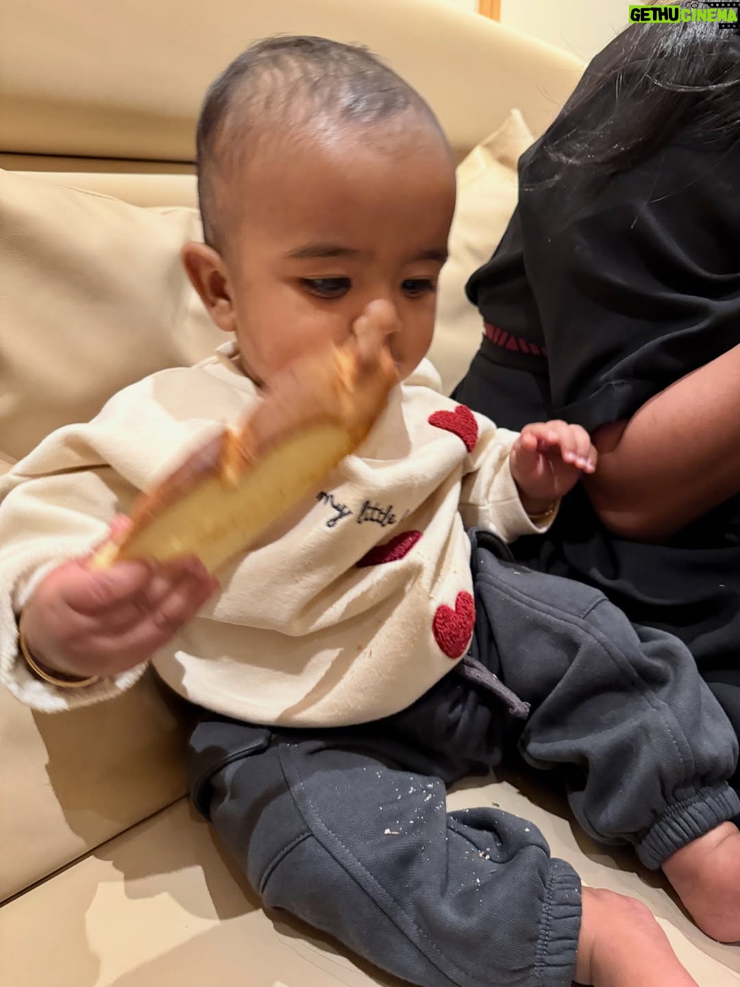 Anu Emmanuel - 224.1K Likes - A lil visitor came over yesterday ♥️ Baby smell > everything