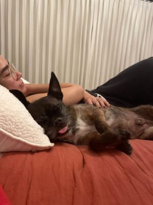 April Jeanette Mendez Instagram - Thank you all who donated to animal rescue org @pawschicago in Larry’s memory.

Over a decade ago our Larry Talbot was surrendered there for doing the most. Multiple fosters gave up on him, one stating on record “I cannot allow this chaos in my home any longer”. A professional trainer called him “a lost cause”. He survived abuse and abandonment and was just misunderstood. We knew he was perfect for us. He snuggled on his terms, like a prickly cat. He stole entire pizzas and donuts off countertops and swallowed them whole like a snake. One time a little abuela saw him on the street, clutched her chest, and yelled “El Chupacabra!” He helped get me out of the deepest depressive cycles and was the center of my happiest days. He went from discarded underdog to having his face plastered across billboards, the United Center, ASPCA campaigns, Rolling Stone, and had more action figures, merchandise, and fan art than most pro athletes. In his golden years, he grew the long beard of a wise wizard and became velcro, permanently attached to my lap. It was the greatest honor to become his emotional support after he spent so long being mine. I just know he’s now with my other furry angels Mugsy and Nacho, causing absolute f-ing mayhem. 

I am not okay, half my heart is gone. I get really quiet and private during the hard stuff but I wanted to come on here and say, if you need a best friend who will make every day brighter, who will save your life right back, please adopt don’t shop. Rescue dogs are a special kind of magic.