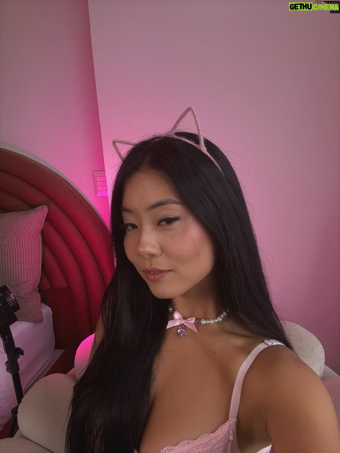 Ariel Saori - 3.6K Likes - Dump Fevereiro 🦋

Um mês de muito trabalho, autocuidado e como sempre com meus filhos 🐱🧡🤍

Como foi seu mês aí?? 

#dump #fimdemês #fevereiro #explorepage #novomês