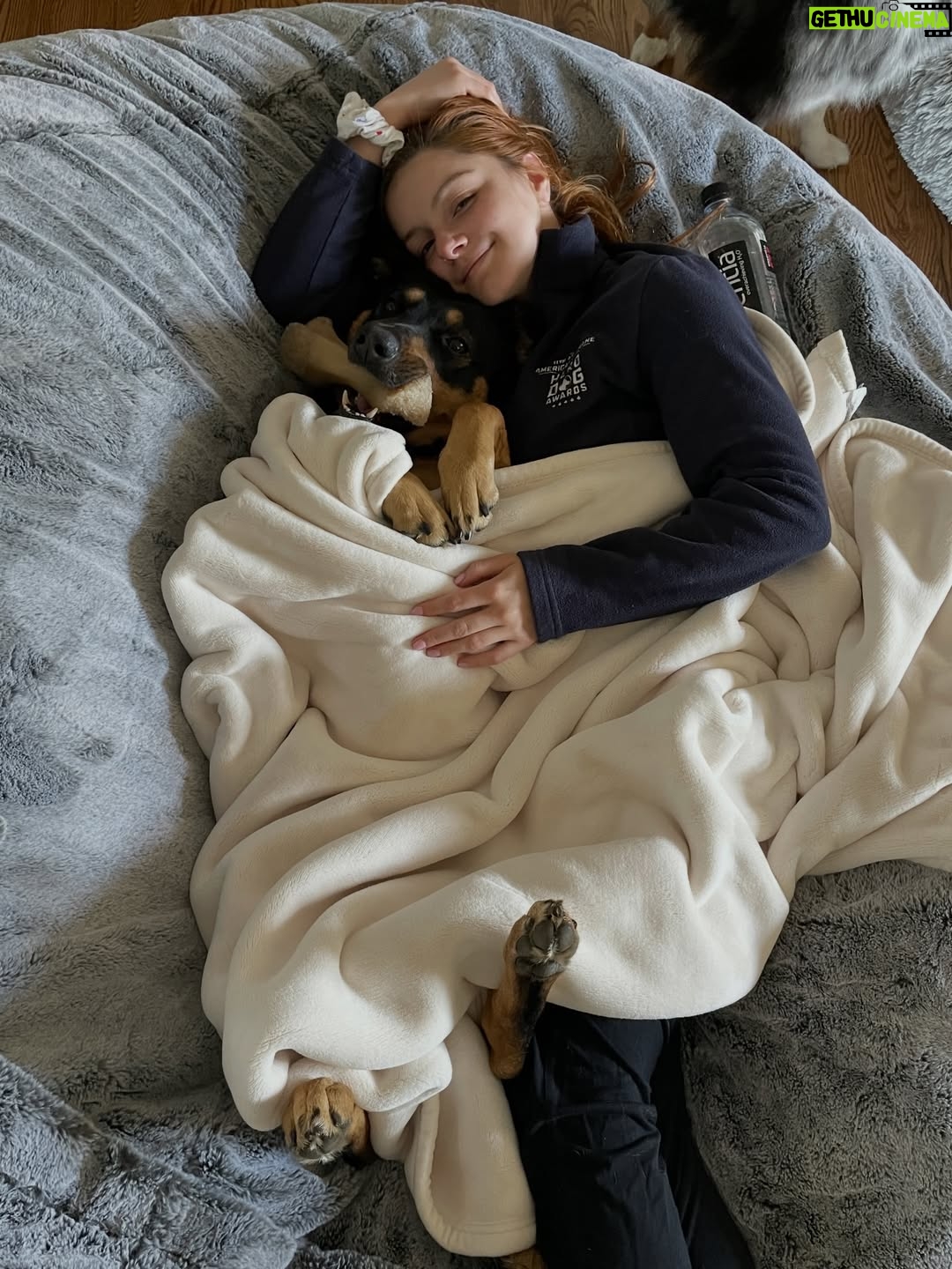 Ariel Winter - 421.9K Likes - It’s taken me a bit for me to share this because I truly can’t handle the fact that I’ve lost her. I haven’t even wanted to talk about it with my therapist, let alone anyone else because it makes it real and then I can’t avoid the pain, but she was loved by so many and I feel it’s time. The love of my life, my best friend, my soul dog, my first rescue…the one who ignited that purpose and passion within me, my beautiful, sweet, special Chloe girl… crossed the rainbow bridge on the 6th. She passed peacefully in my arms while I told her how much I loved her, how much of a special girl she was and that it was okay…after the vet made her comfy and we spent some time together. She apparently had a very quick, aggressive form of cancer that typically only shows symptoms when it’s too late. She had just had her physical, dental, an extra check up because she just had a little BUMP that ended up being benign…everything and yet…💔 

I rescued Chloe in the summer of 2016. I was set on rescuing so I contacted a shepherd rescue in DTLA. I emailed back and forth for awhile with the lovely human who matched me with my angel, Maria Wagner @wag_tales, and she told me to wait to rescue until I was settled into my place before adopting. Once I was, I called her and she told me they had just brought in a stray that she thought I’d connect with. I drove over, set on adopting her without even meeting her. Once I did though, and looked into her eyes, I felt a connection I’d never felt before and one I knew I never wanted to live without. I know some people won’t get it, and that’s okay. We had a soul bond. We understood each other. I don’t think there are words that could articulate what Chloe meant to me. She healed so much in me, and taught me things I’ll carry with me forever. I needed her just as much as she needed me. I left there that day with one of the most important relationships I’d ever have. An unconditional love that changed my life. 
(cont in comments)