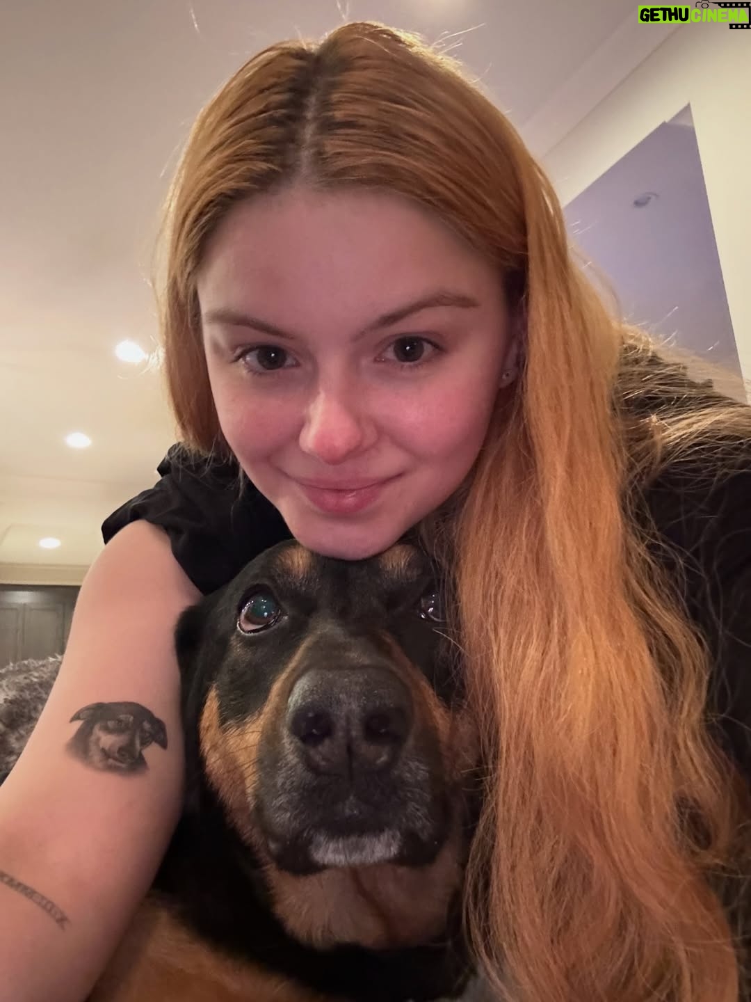 Ariel Winter - 421.9K Likes - It’s taken me a bit for me to share this because I truly can’t handle the fact that I’ve lost her. I haven’t even wanted to talk about it with my therapist, let alone anyone else because it makes it real and then I can’t avoid the pain, but she was loved by so many and I feel it’s time. The love of my life, my best friend, my soul dog, my first rescue…the one who ignited that purpose and passion within me, my beautiful, sweet, special Chloe girl… crossed the rainbow bridge on the 6th. She passed peacefully in my arms while I told her how much I loved her, how much of a special girl she was and that it was okay…after the vet made her comfy and we spent some time together. She apparently had a very quick, aggressive form of cancer that typically only shows symptoms when it’s too late. She had just had her physical, dental, an extra check up because she just had a little BUMP that ended up being benign…everything and yet…💔 

I rescued Chloe in the summer of 2016. I was set on rescuing so I contacted a shepherd rescue in DTLA. I emailed back and forth for awhile with the lovely human who matched me with my angel, Maria Wagner @wag_tales, and she told me to wait to rescue until I was settled into my place before adopting. Once I was, I called her and she told me they had just brought in a stray that she thought I’d connect with. I drove over, set on adopting her without even meeting her. Once I did though, and looked into her eyes, I felt a connection I’d never felt before and one I knew I never wanted to live without. I know some people won’t get it, and that’s okay. We had a soul bond. We understood each other. I don’t think there are words that could articulate what Chloe meant to me. She healed so much in me, and taught me things I’ll carry with me forever. I needed her just as much as she needed me. I left there that day with one of the most important relationships I’d ever have. An unconditional love that changed my life. 
(cont in comments)