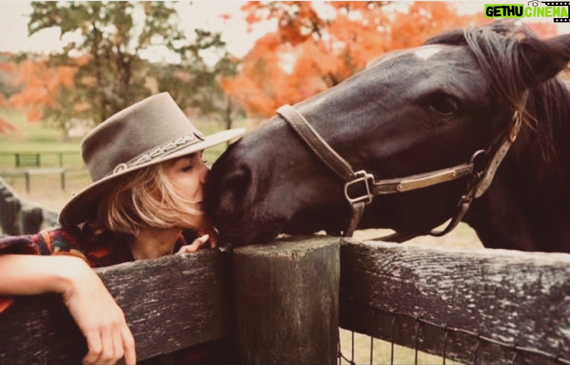 Arielle Kebbel - 3 Likes - My girl & all her medicine ❤️ 

#mustang #stoptheroundups #wildandfree