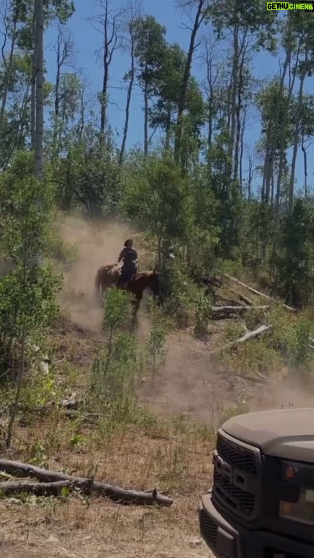 Arielle Kebbel - 3 Likes - I spent the day on stunt unit doing this 🐴 Thank you for having my back up there guys, this was a dream come true day for me on set & one helluva intro to Belle 💕 

My horse on the show is named Tumble Weeds. After getting to know his personality a bit more, I nicknamed him TW. Our wonderful horse wranglers  made sure the horses were rested and cared for and had horse doubles ready to go in case they needed a well earned break. Horses first always! 

@marshalscbs #bts #belle