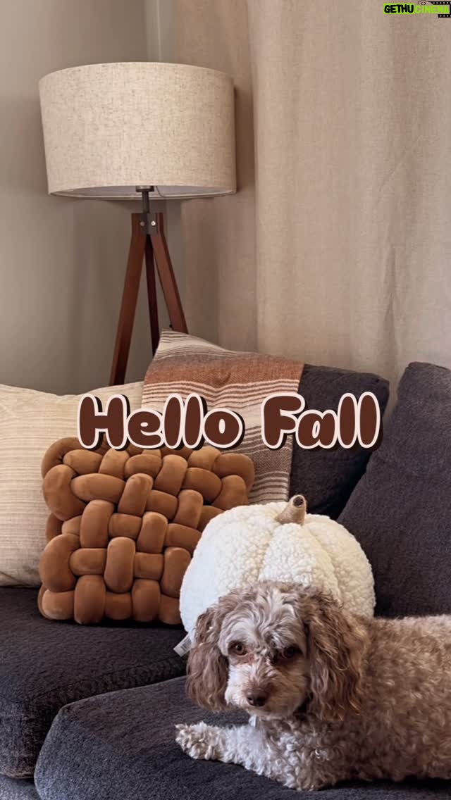 Asya Branch - 3 Likes - Sweater weather, pumpkin spice, cozy nights — hello, fall 🍂