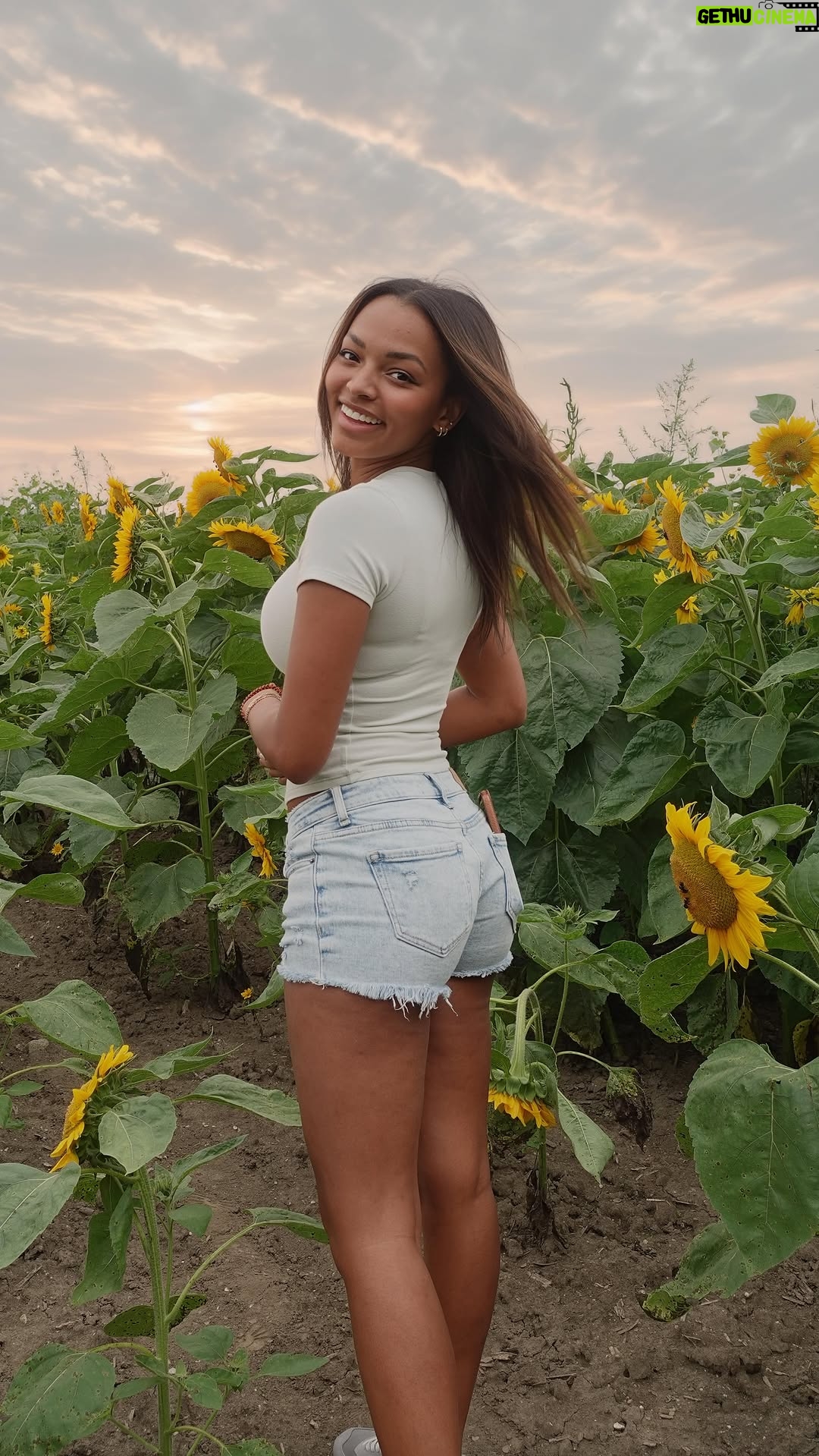 Asya Branch - 3 Likes - Picked a pocket full of sunshine 🌻