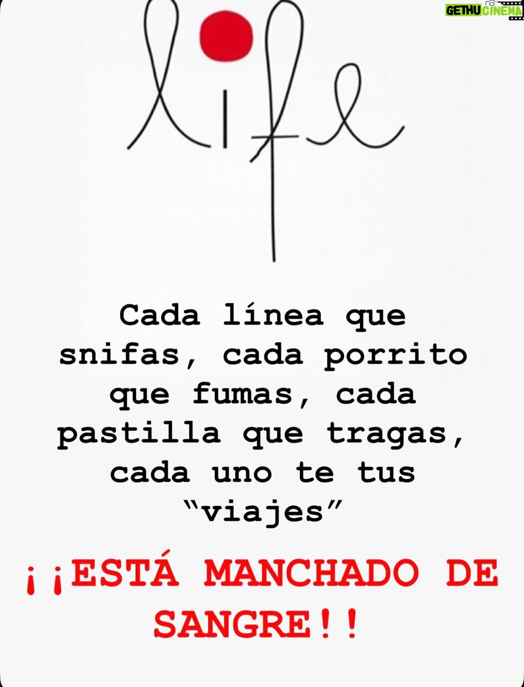 Atala Sarmiento - 7.1K Likes - Si te drogas eres parte de la cadena de violencia…aunque te incomode leerlo 🤷🏼‍♀️