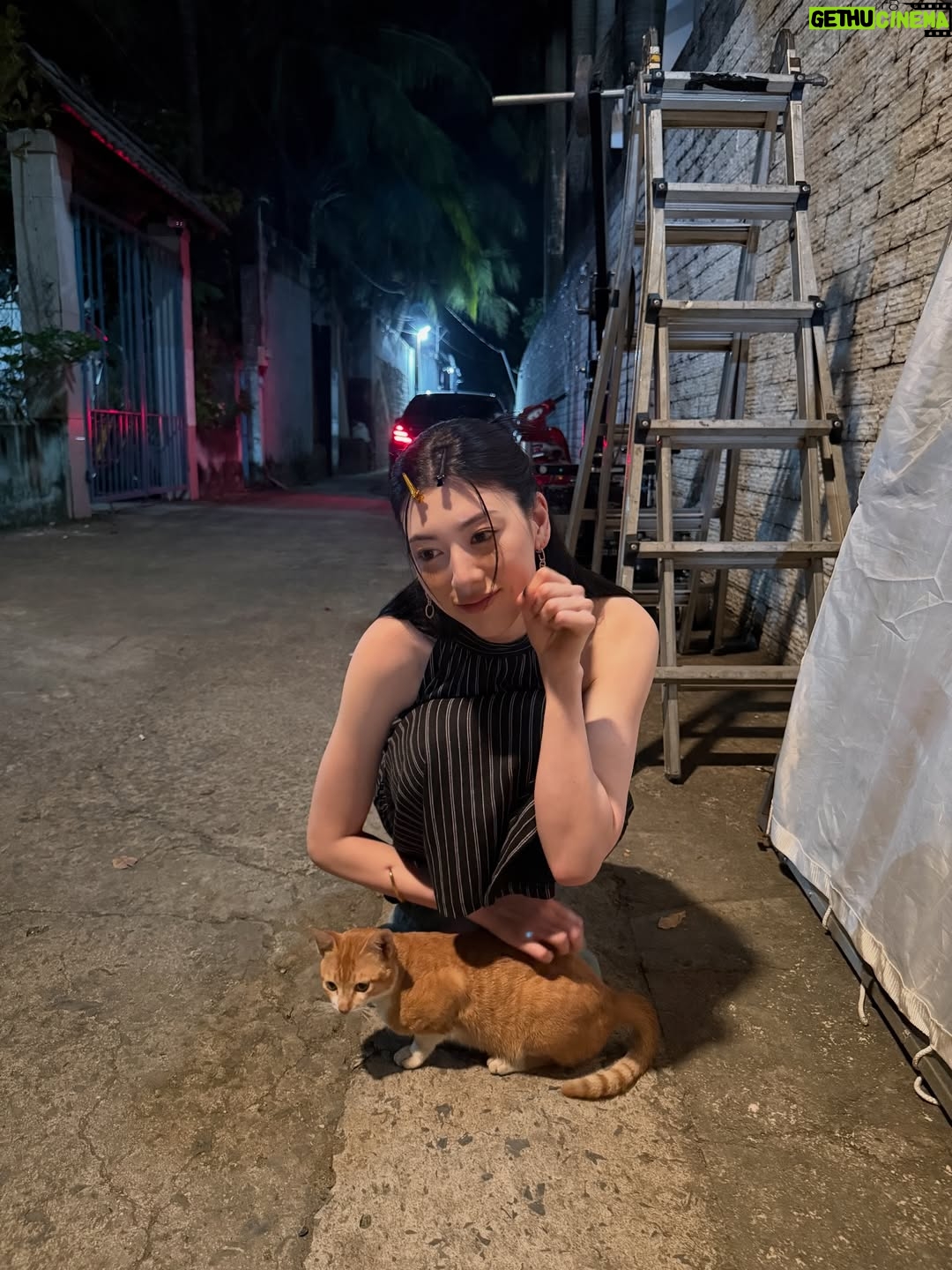 Ayaka Miyoshi - 138.9K Likes - 🐈‍⬛OTSUKARESAMADESHITA🐈‍⬛