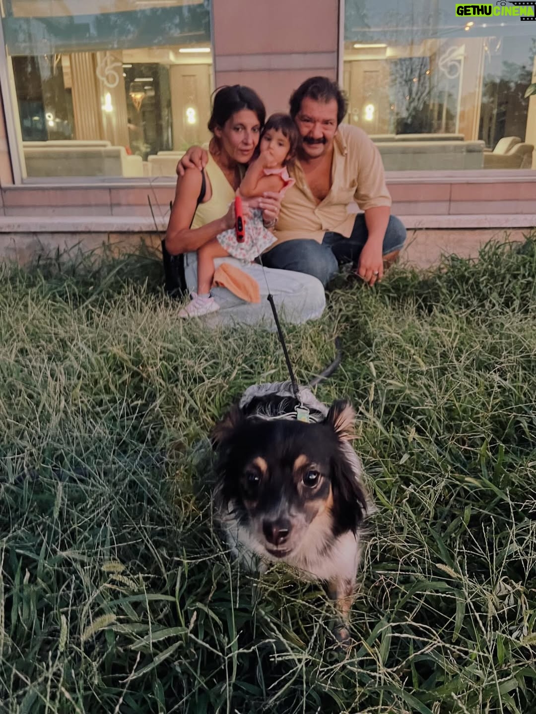 Aybüke Pusat - 214.7K Likes - Gelenek diye koyuyorum valla. Aşırı zor toparladım kafayı. 2026 daha derli toplu bi sene olsun! Lütfennn 👸🏻🩵🎄🍎🐝