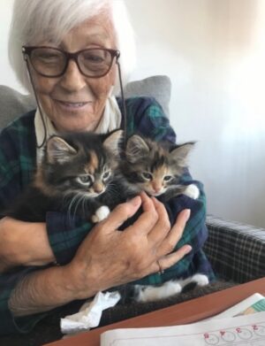Ayşegül Aldinç Instagram - “Kediler insanları yargılamaz; şişman ya da aptal hissettirmezler!”
Canım kedilerim benim...😻🧿😽
Dünya Kediler günü kutlu olsun!
@aysegulunkedileri8 
🐾🐈🐈‍⬛
#dünyakedilergünü
#zuzu #miu
#osman #adem