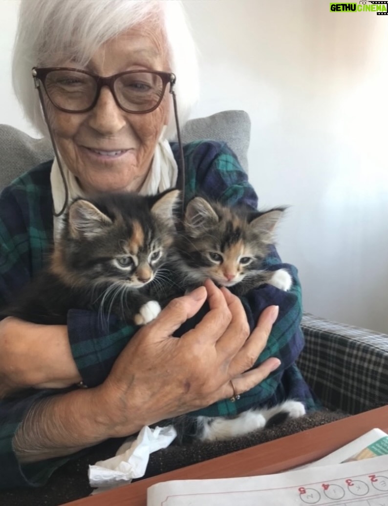 Ayşegül Aldinç - 10.1K Likes - “Kediler insanları yargılamaz; şişman ya da aptal hissettirmezler!”
Canım kedilerim benim...😻🧿😽
Dünya Kediler günü kutlu olsun!
@aysegulunkedileri8 
🐾🐈🐈‍⬛
#dünyakedilergünü
#zuzu #miu
#osman #adem