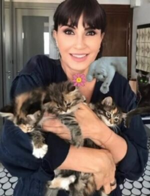 Ayşegül Aldinç Instagram - “Kediler insanları yargılamaz; şişman ya da aptal hissettirmezler!”
Canım kedilerim benim...😻🧿😽
Dünya Kediler günü kutlu olsun!
@aysegulunkedileri8 
🐾🐈🐈‍⬛
#dünyakedilergünü
#zuzu #miu
#osman #adem