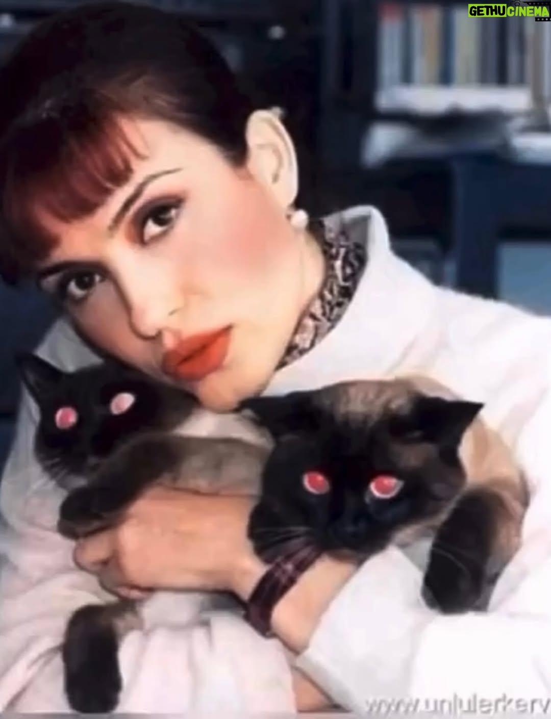 Ayşegül Aldinç - 10.1K Likes - “Kediler insanları yargılamaz; şişman ya da aptal hissettirmezler!”
Canım kedilerim benim...😻🧿😽
Dünya Kediler günü kutlu olsun!
@aysegulunkedileri8 
🐾🐈🐈‍⬛
#dünyakedilergünü
#zuzu #miu
#osman #adem