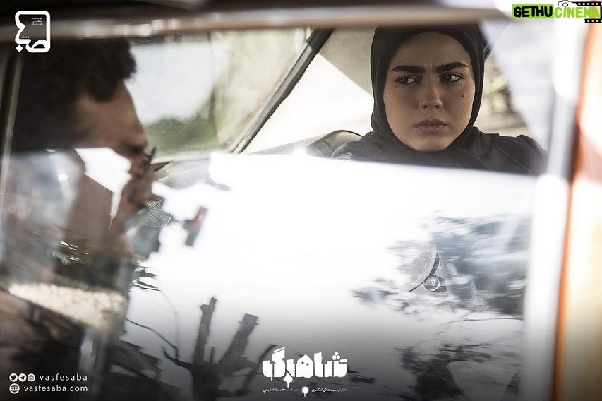 Azadeh Zarei - 17.3K Likes - 