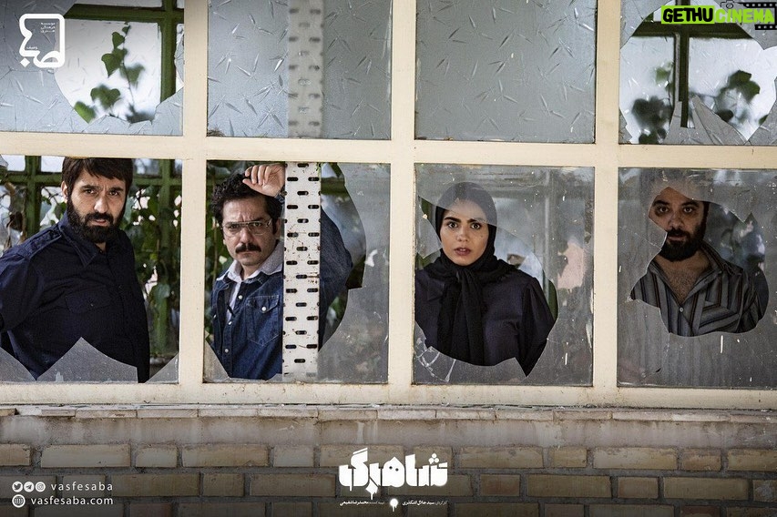 Azadeh Zarei - 17.3K Likes - 