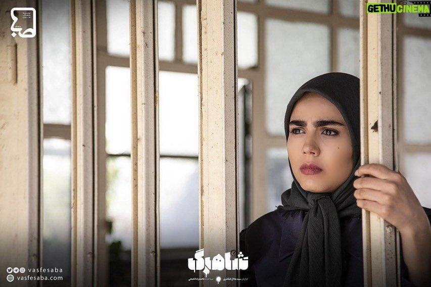 Azadeh Zarei - 17.3K Likes - 