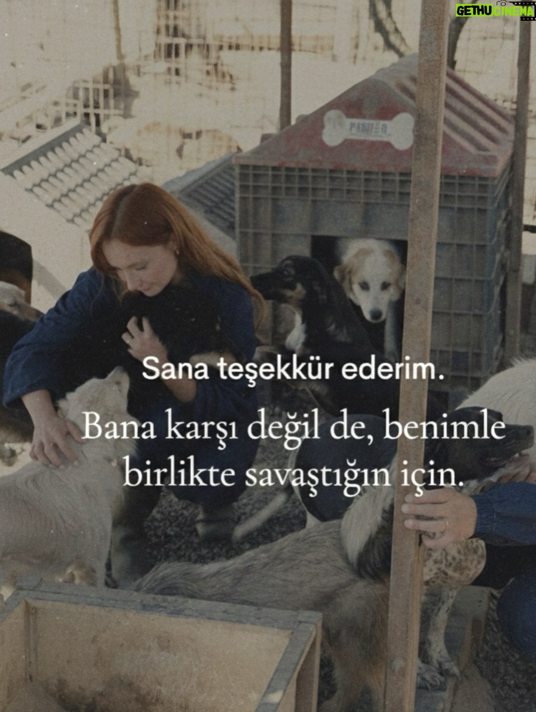 Başak Gümülcinelioğlu - 126.4K Likes - Favorites folder, February🌷
Güzel geldin bana, benim yılım şubattan başladı. 
Huzurlarınızda sonu sürprizli ve kıymetlilerimle dolu bir fotoğraf seçkisi 🫂🪬