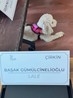 Başak Gümülcinelioğlu Instagram - Favorites folder, February🌷
Güzel geldin bana, benim yılım şubattan başladı. 
Huzurlarınızda sonu sürprizli ve kıymetlilerimle dolu bir fotoğraf seçkisi 🫂🪬