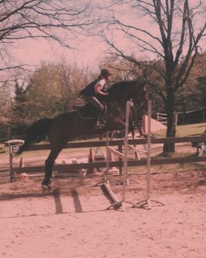 Barbara Lune Instagram - Reprise de ma première passion ❤️ 

Et oui, même avant le chant, même si je crois que je suis meilleure chanteuse que cavalière 🤣 
Pas facile de se relancer dans ce sport quand on est maman, avec la peur de tomber.. pas peur pour nous même, mais pour eux. C’est cette petite voix dans la tête qui te dit « et ils vont devenir quoi si tombes ma grande ? T’as plus 20 ans.. » même si ils ont un super papa je ne peux pas imaginer les laisser tous les 3..merci d’ailleurs super papa @djniko_sainttropez de supporter cette passion envahissante 🤣❤️) 
Mais je crois que je suis pas la seule dans ce cas, pas vrai ? 😅
Nombreuses sont les femmes qui reprennent l’équitation après avoir eu un/des enfants. 

Besoin d’un VRAI moment rien qu’à nous, libérateur, où on pense seulement à CE moment. Même si c’est flippant parfois, souvent même. Mais ça fait du bien 🤩 
La vie peut nous éloigner des chevaux un temps mais quand on aime ça, ils reviennent toujours au galop ! 🥹

Alors j’y vais à fond, TDAH tu n’as qu’à bien te tenir, je lâcherai pas cette fois! 
Donc je me lance à 36 ans (quand même 😅) à la recherche de mon binôme, celui qui va tolérer mon anxiété    , et avec qui je vais pouvoir évoluer, je suis prête ! Merci @les_ecuries.du.luc de reprendre tout à zéro avec moi 🥰

Chères cavaliers/cavalières, des conseils à me donner ? ❤️

Petit bonus : 
Photo 2 : ma dernière photo avant d’arrêter l’équitation y a plus de 10 ans. 
Photo 3 : ma tête d’anxiété    , quand BOLT a décidé de sauter la barre au sol 😅
(Oui parcequ’INSTA c’est pas que les moments glam 🤣)