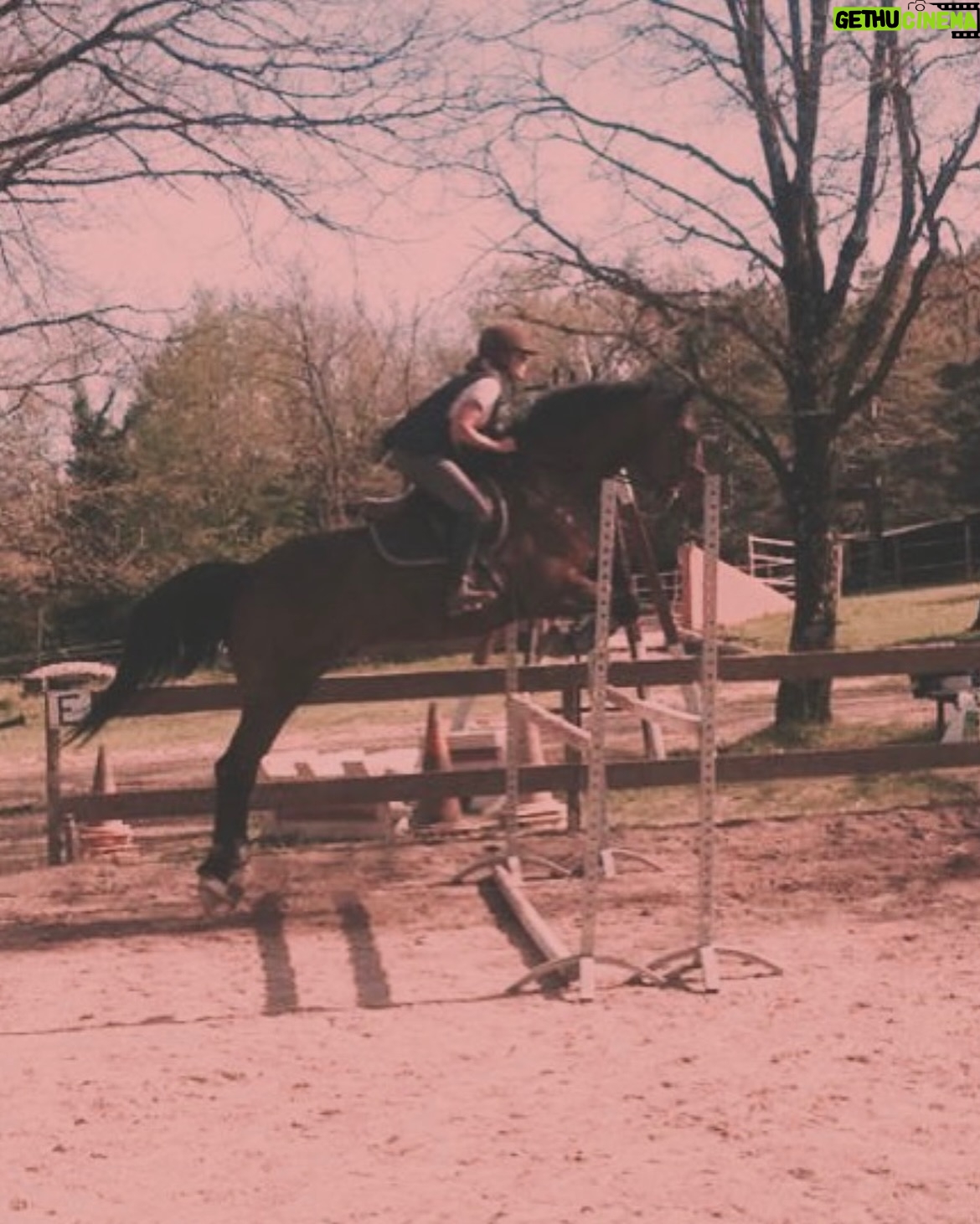 Barbara Lune - 540 Likes - Reprise de ma première passion ❤️ 

Et oui, même avant le chant, même si je crois que je suis meilleure chanteuse que cavalière 🤣 
Pas facile de se relancer dans ce sport quand on est maman, avec la peur de tomber.. pas peur pour nous même, mais pour eux. C’est cette petite voix dans la tête qui te dit « et ils vont devenir quoi si tombes ma grande ? T’as plus 20 ans.. » même si ils ont un super papa je ne peux pas imaginer les laisser tous les 3..merci d’ailleurs super papa @djniko_sainttropez de supporter cette passion envahissante 🤣❤️) 
Mais je crois que je suis pas la seule dans ce cas, pas vrai ? 😅
Nombreuses sont les femmes qui reprennent l’équitation après avoir eu un/des enfants. 

Besoin d’un VRAI moment rien qu’à nous, libérateur, où on pense seulement à CE moment. Même si c’est flippant parfois, souvent même. Mais ça fait du bien 🤩 
La vie peut nous éloigner des chevaux un temps mais quand on aime ça, ils reviennent toujours au galop ! 🥹

Alors j’y vais à fond, TDAH tu n’as qu’à bien te tenir, je lâcherai pas cette fois! 
Donc je me lance à 36 ans (quand même 😅) à la recherche de mon binôme, celui qui va tolérer mon anxiété    , et avec qui je vais pouvoir évoluer, je suis prête ! Merci @les_ecuries.du.luc de reprendre tout à zéro avec moi 🥰

Chères cavaliers/cavalières, des conseils à me donner ? ❤️

Petit bonus : 
Photo 2 : ma dernière photo avant d’arrêter l’équitation y a plus de 10 ans. 
Photo 3 : ma tête d’anxiété    , quand BOLT a décidé de sauter la barre au sol 😅
(Oui parcequ’INSTA c’est pas que les moments glam 🤣)