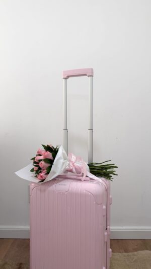 Belle Longwell Instagram - look how pink @rimowa so pretty!
ballerina, new seasonal color 🩰