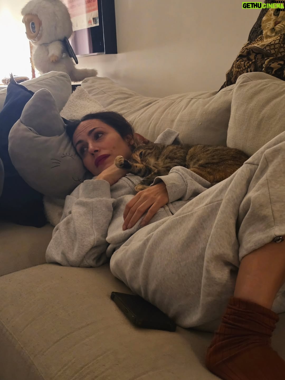 Blanca Suárez - 149.8K Likes - Lately gifts 🫀