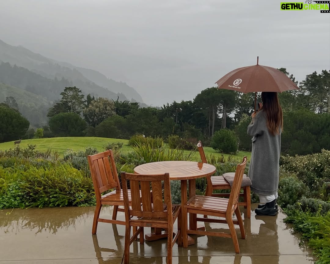 Brenda Song - 387.1K Likes - Last but not least- R&R in my favorite places with my favorite person.