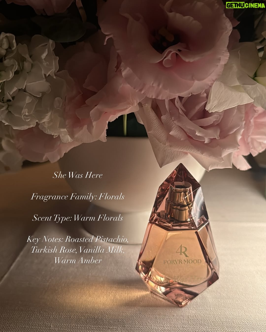 Brianna Giscombe - 1.5K Likes - Such a wonderful night with @forvrmood celebrating the launch of She Was Here—and she smells amazing! It was such an honor to be in attendance, and a time was had hunny !!!!