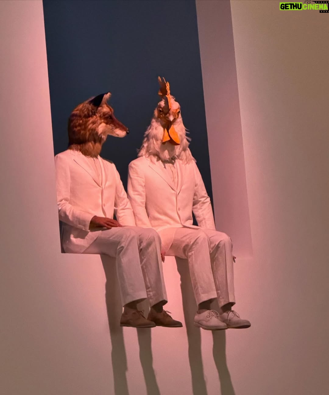 Büşra Develi - 42.5K Likes - 🤡🫂🐧🌞🫀💅